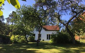 Ferienhaus am See